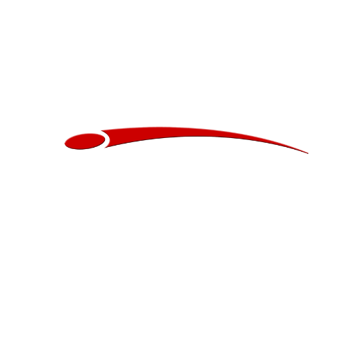Discraft
